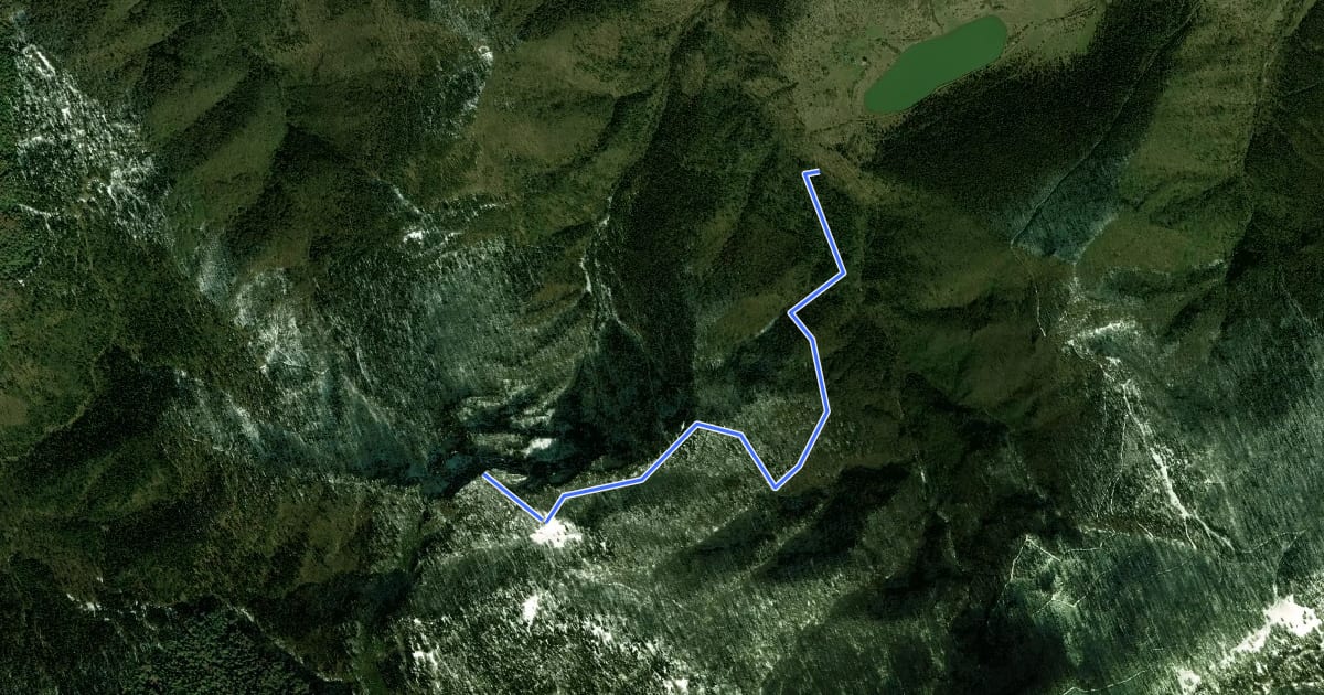 Маршрут Gorinamkali trail на спутниковом снимке