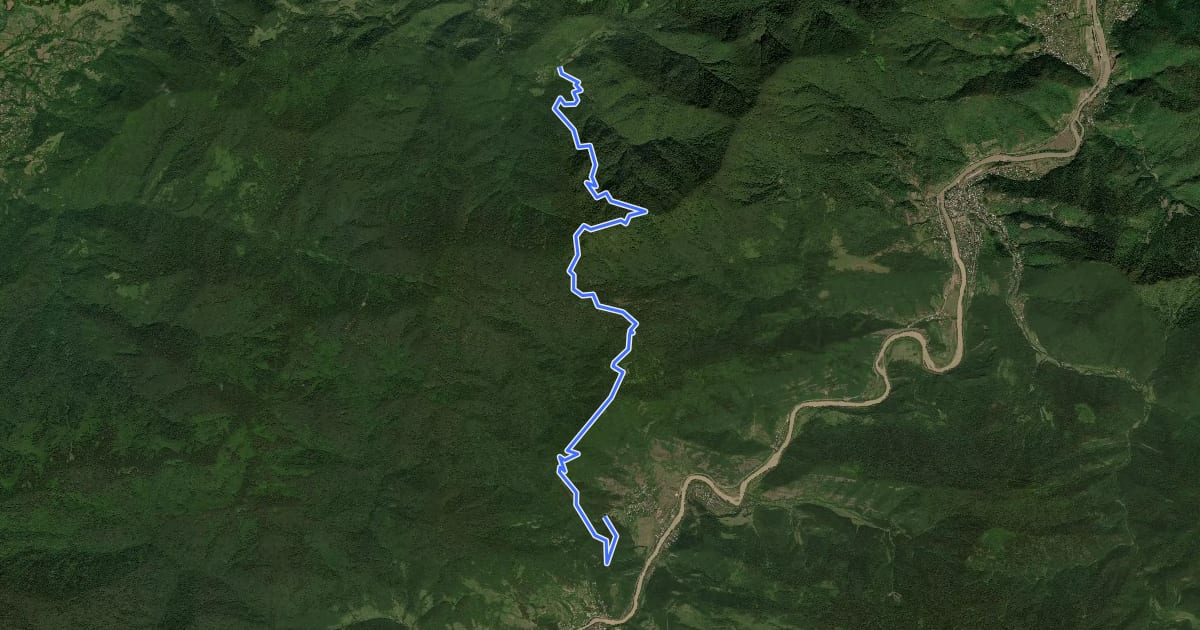 Маршрут Pure Pristine forest trail на спутниковом снимке