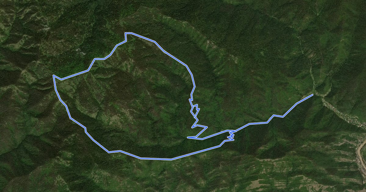 Маршрут Snow Shoes Trail на спутниковом снимке