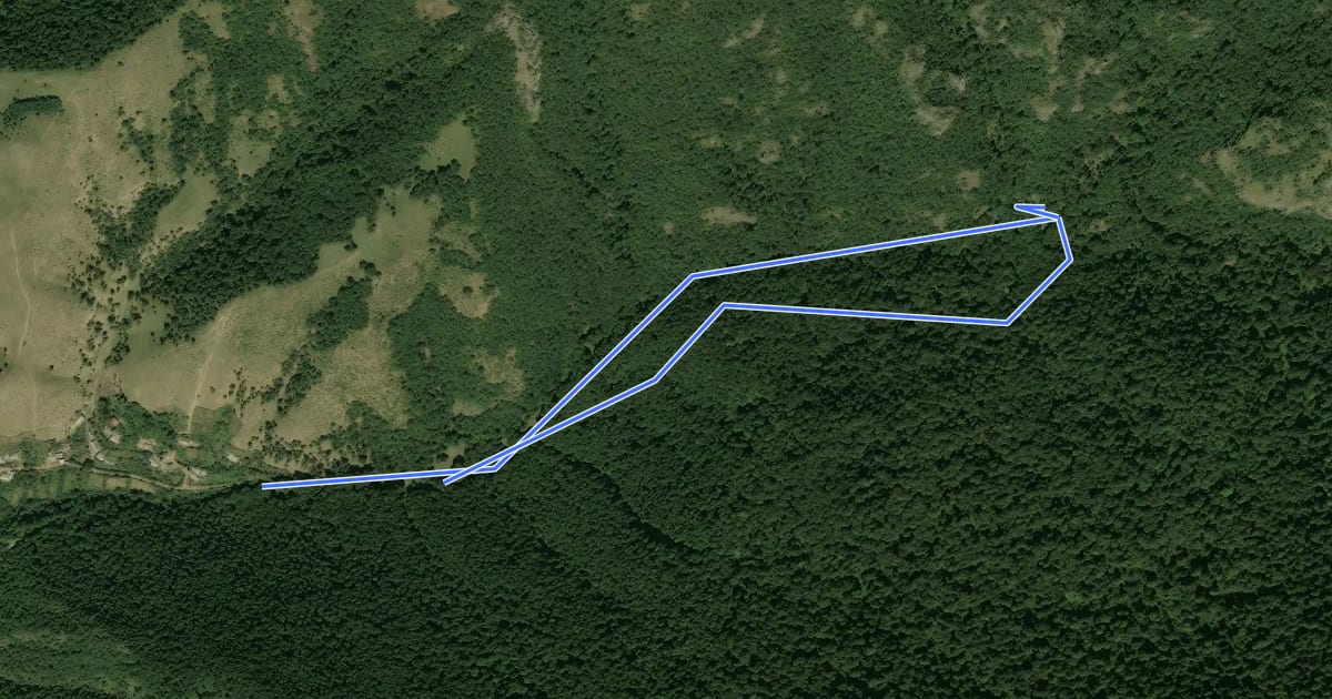 Маршрут Yew Grove Trail на спутниковом снимке