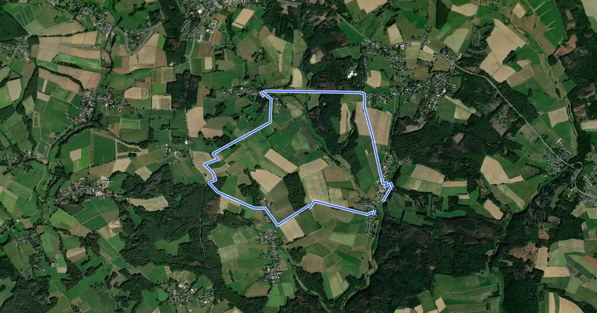 Маршрут [1] Hemmelzen Rundwanderweg на спутниковом снимке