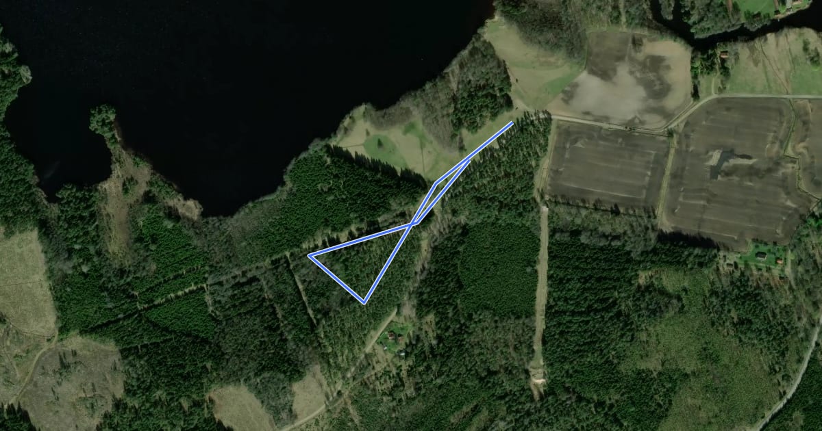 Маршрут 1 km walk/run на спутниковом снимке