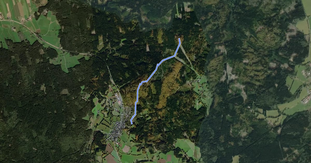 Маршрут 1 Schönseer Burgenweg на спутниковом снимке