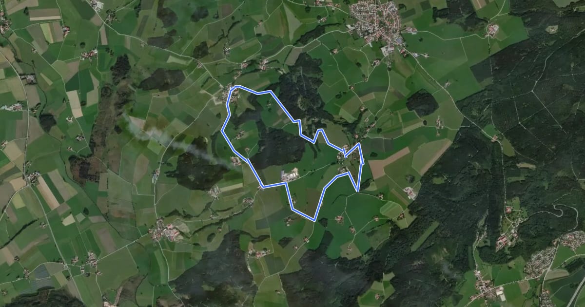 Маршрут 10 - Panoramarunde auf den Gospoldshofer Berg und den Wachbühl на спутниковом снимке