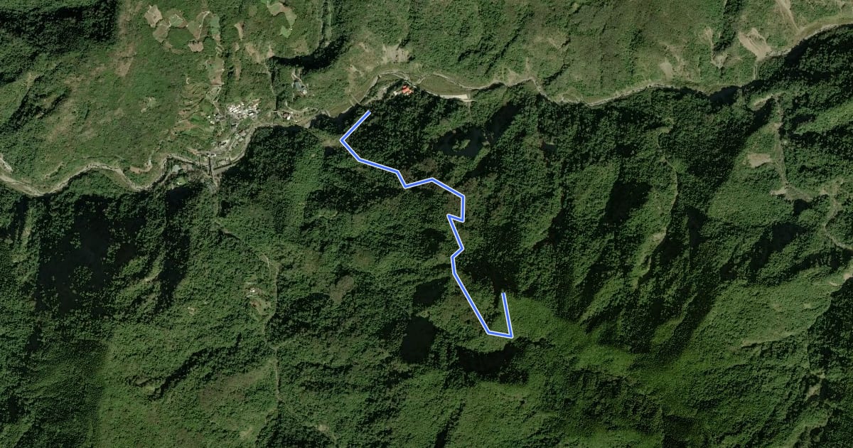 Маршрут 鳥嘴山登山步道 на спутниковом снимке