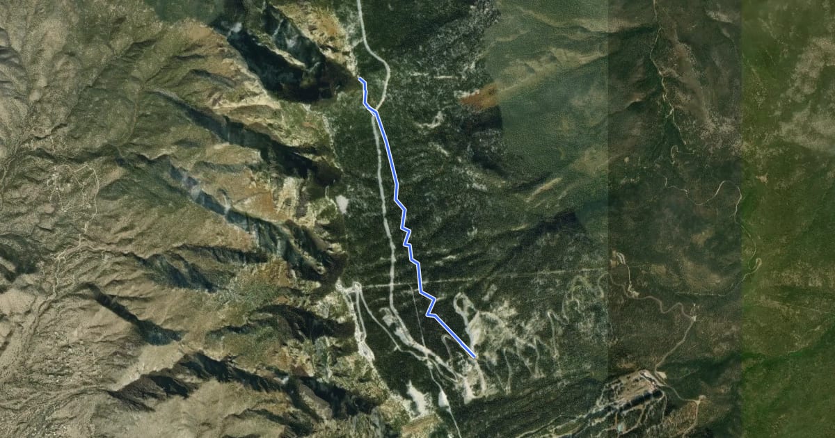 Маршрут 10k Trail North на спутниковом снимке