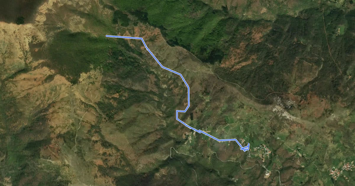 Маршрут 113C на спутниковом снимке