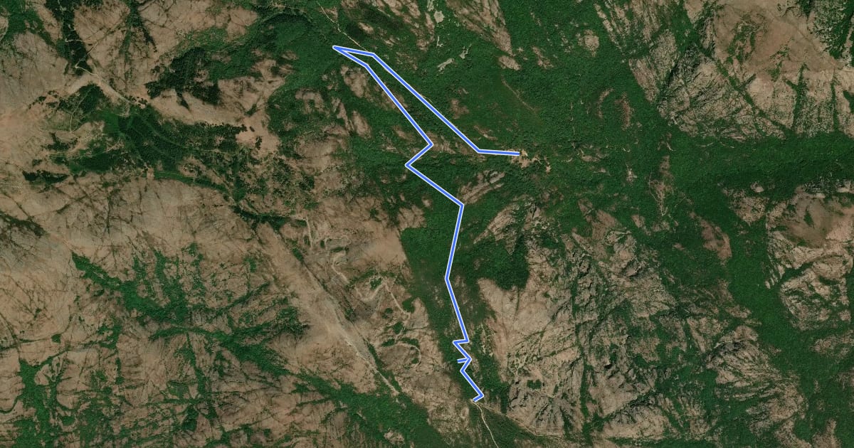 Маршрут 115 на спутниковом снимке