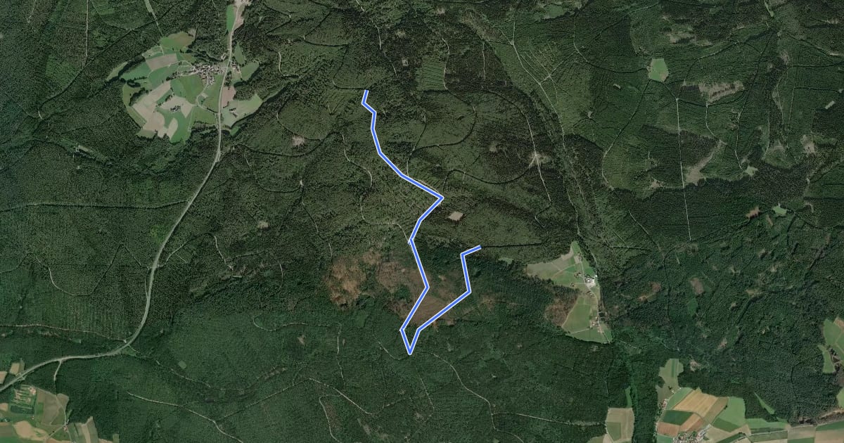 Маршрут 11km-Loipe на спутниковом снимке