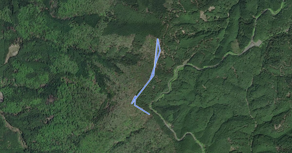 Маршрут 京都一周トレイル北山コース 12:16-1 на спутниковом снимке