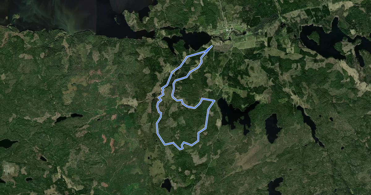 Маршрут 12 km mtb на спутниковом снимке