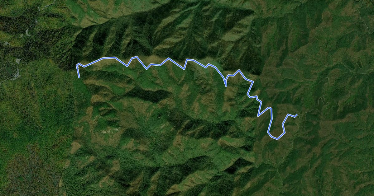 Маршрут 121 Laurel Mountain на спутниковом снимке