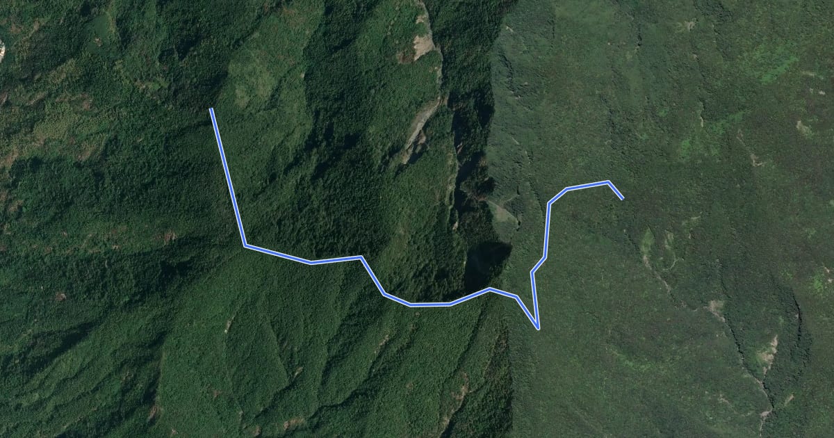Маршрут 尾寮山登山路線 на спутниковом снимке