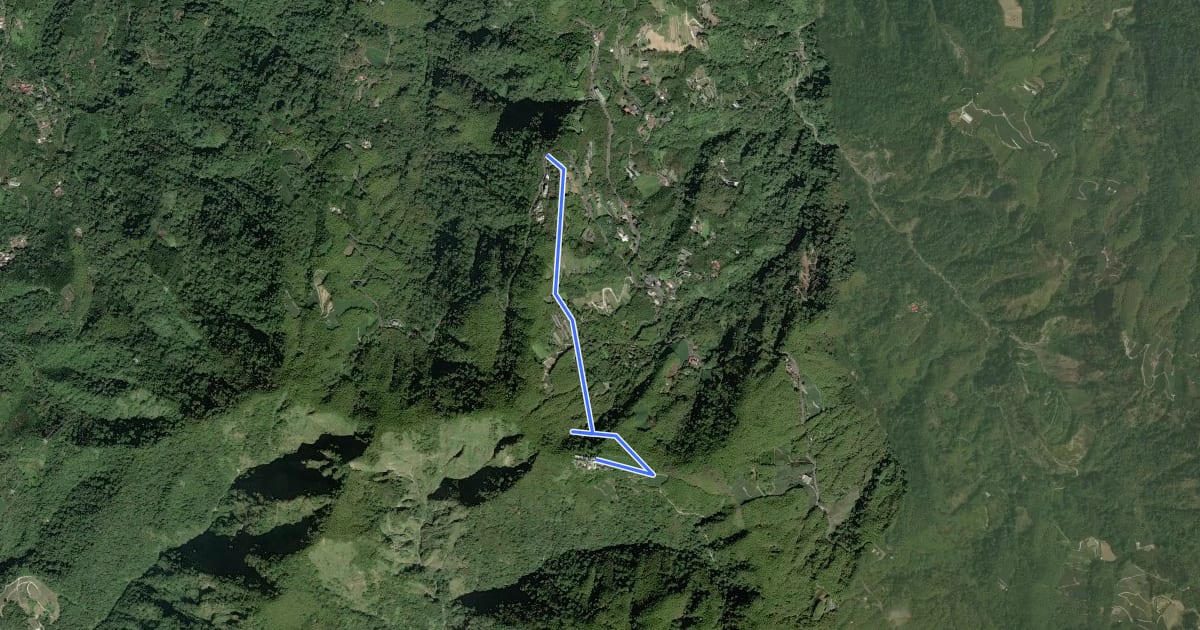 Маршрут 田子山林道 на спутниковом снимке