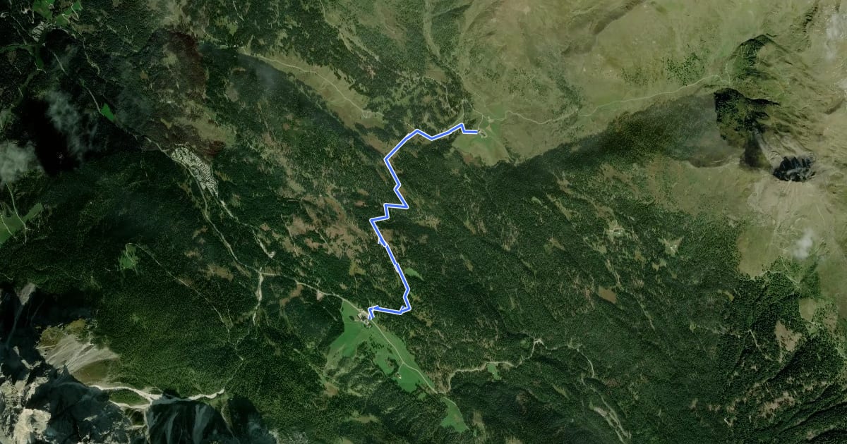 Маршрут 131 на спутниковом снимке