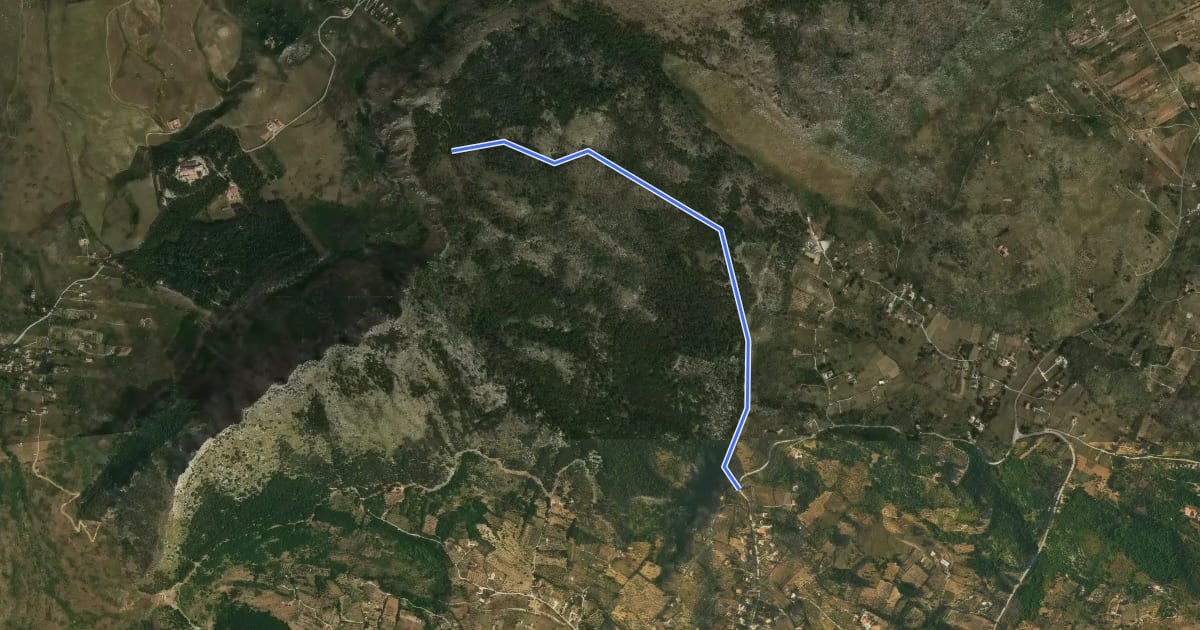 Маршрут 131 на спутниковом снимке