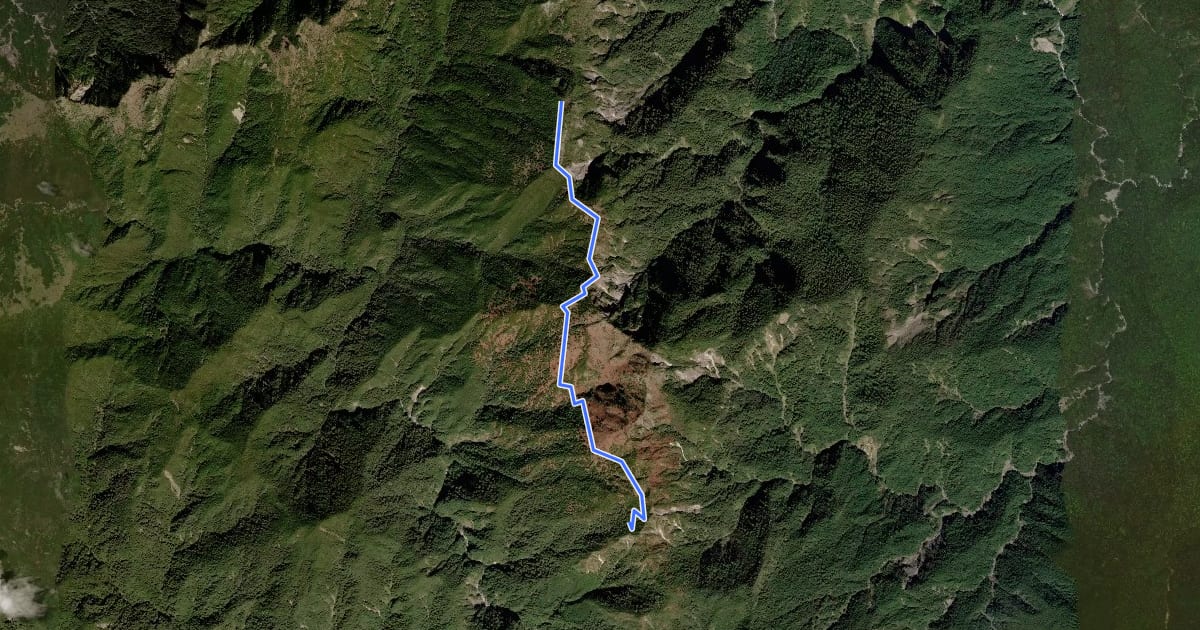Маршрут 阿屘那來山登山路線 на спутниковом снимке