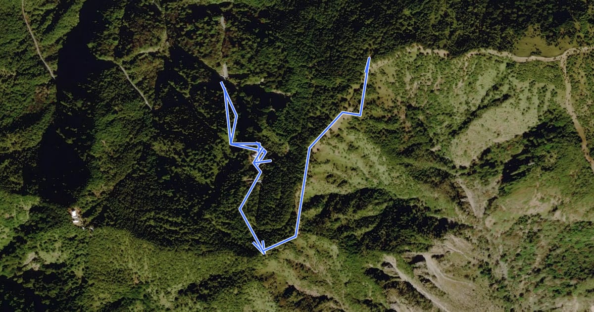 Маршрут 鹿林山登山步道 на спутниковом снимке