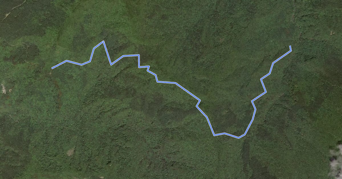 Маршрут 東滿步道 на спутниковом снимке