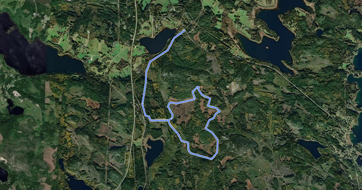 Маршрут 14,5km на спутниковом снимке