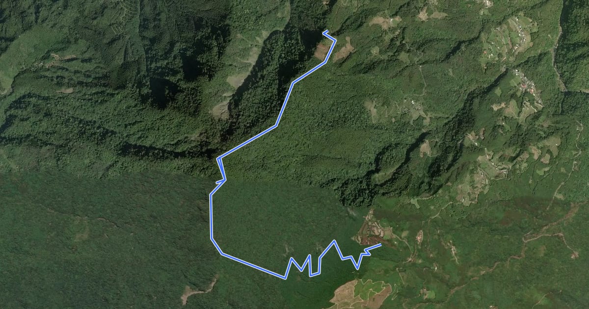 Маршрут 鵝公髻山登山步道 на спутниковом снимке