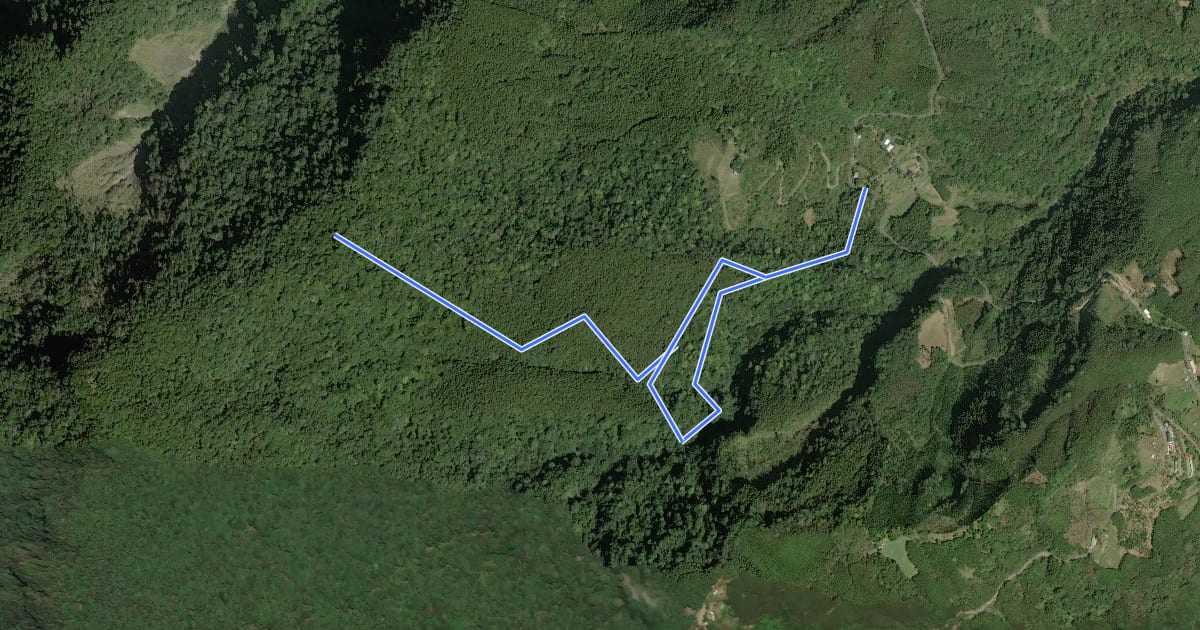 Маршрут 鵝公髻山雲霧步道線 на спутниковом снимке