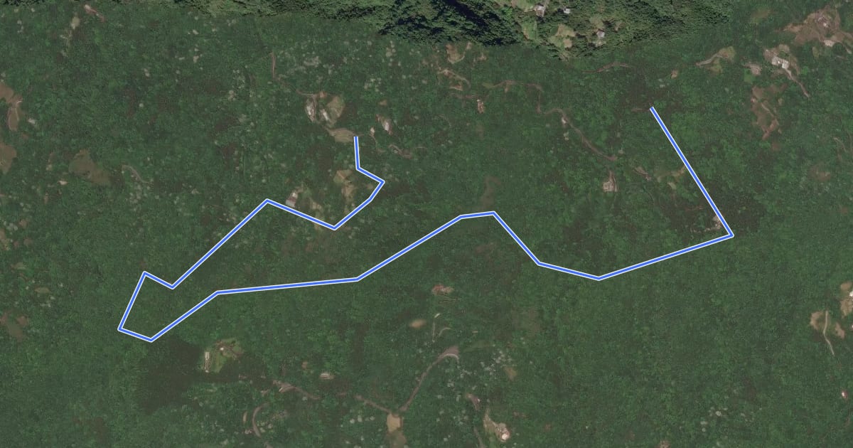 Маршрут 粗坑崙登山路線 на спутниковом снимке