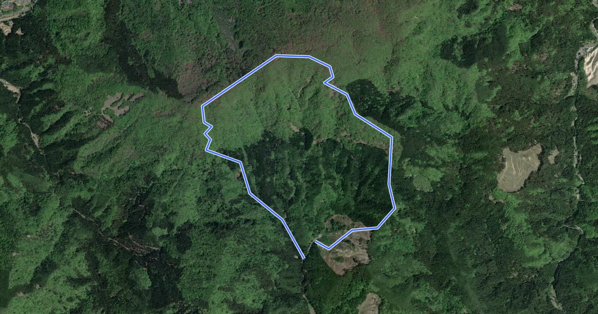 Маршрут 舟伏山登山道 на спутниковом снимке