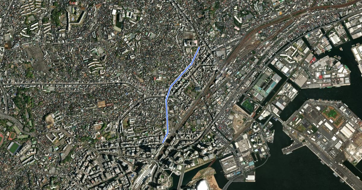 Маршрут 東横フラワー緑道 на спутниковом снимке