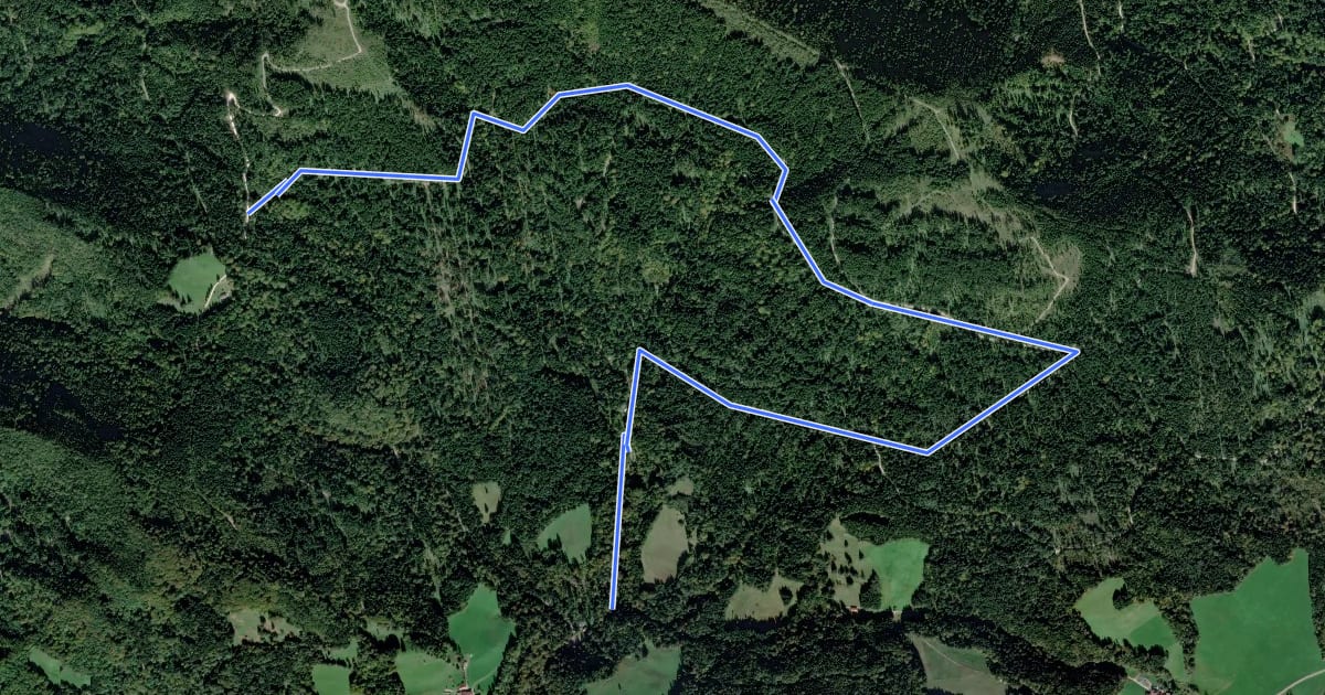Маршрут 16 Inzell - Zinnkopf на спутниковом снимке