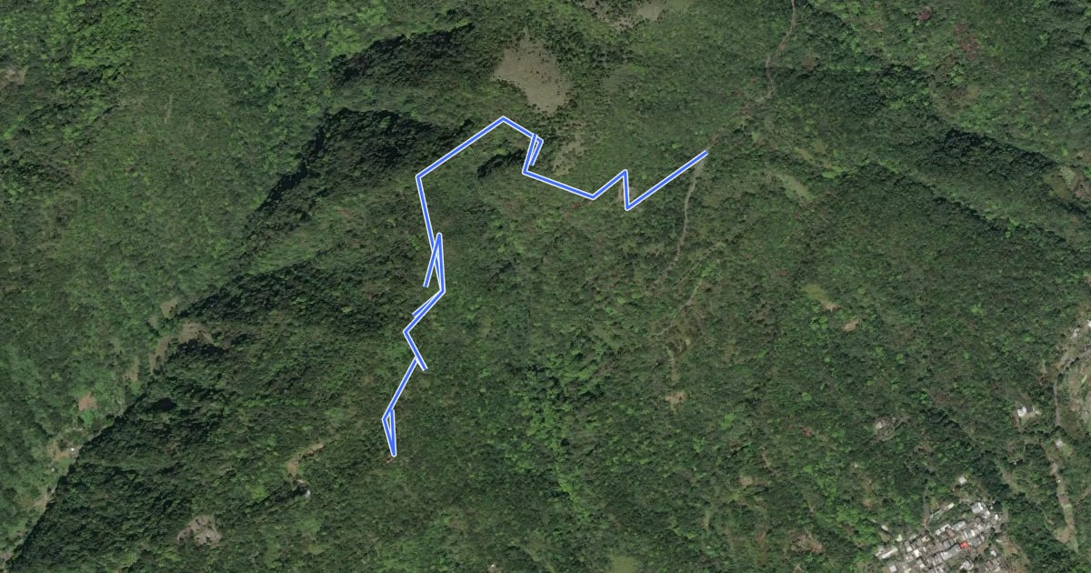 Маршрут 中正山親山步道-第一登山口線 на спутниковом снимке