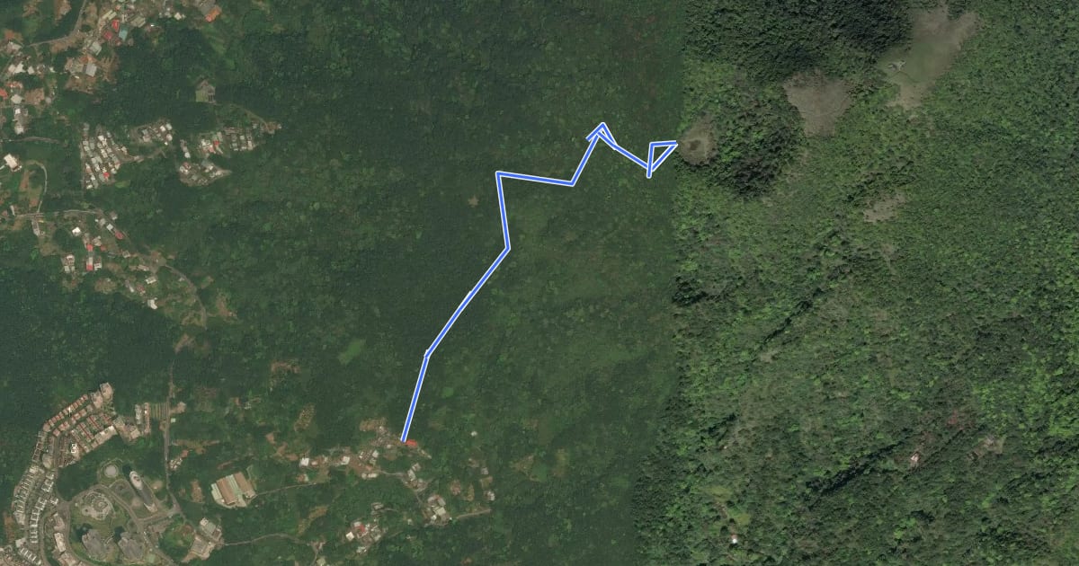Маршрут 興福寮登山步道 на спутниковом снимке
