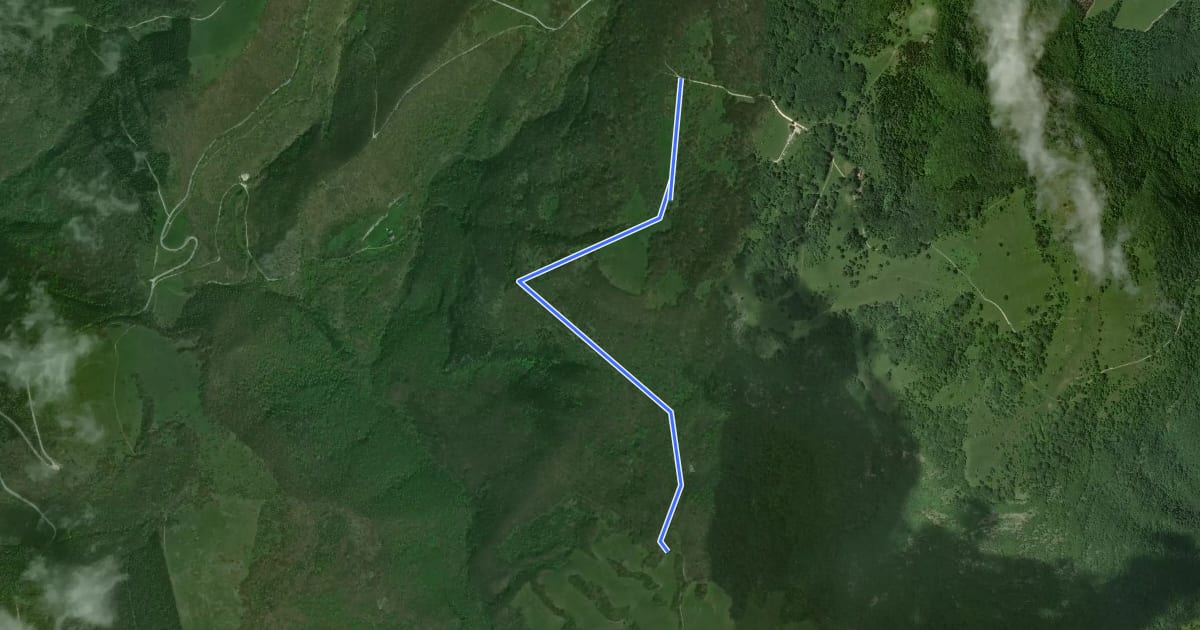 Маршрут 171 на спутниковом снимке