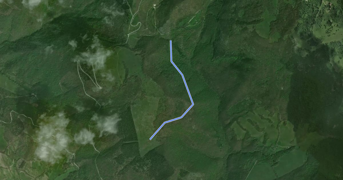 Маршрут 172B на спутниковом снимке