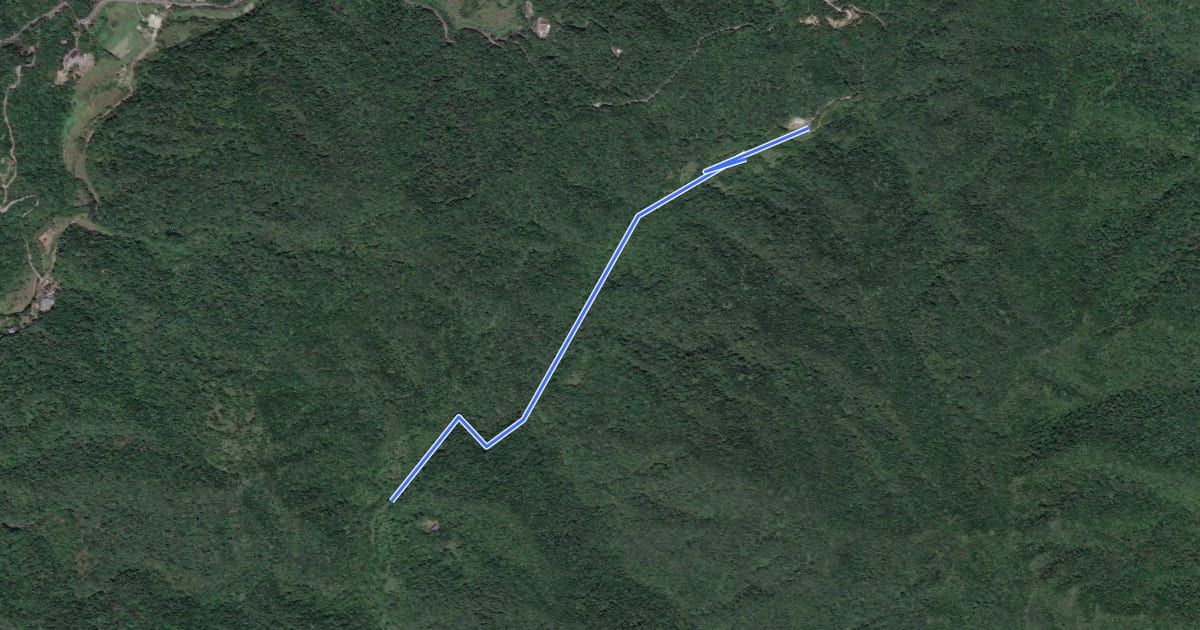 Маршрут 芉蓁坑溪畔古道 на спутниковом снимке