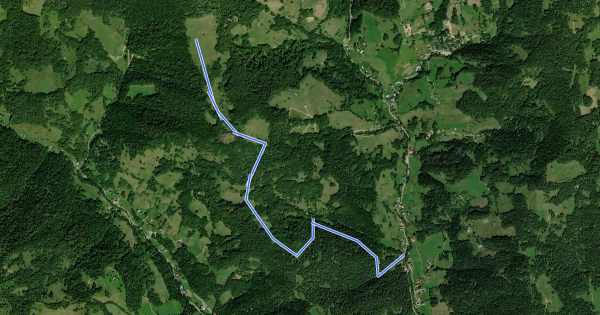 Маршрут 19 на спутниковом снимке