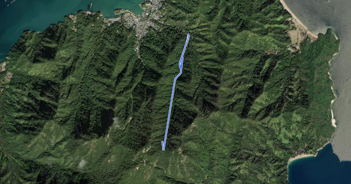 Маршрут 弥山登山道 紅葉谷ルート на спутниковом снимке