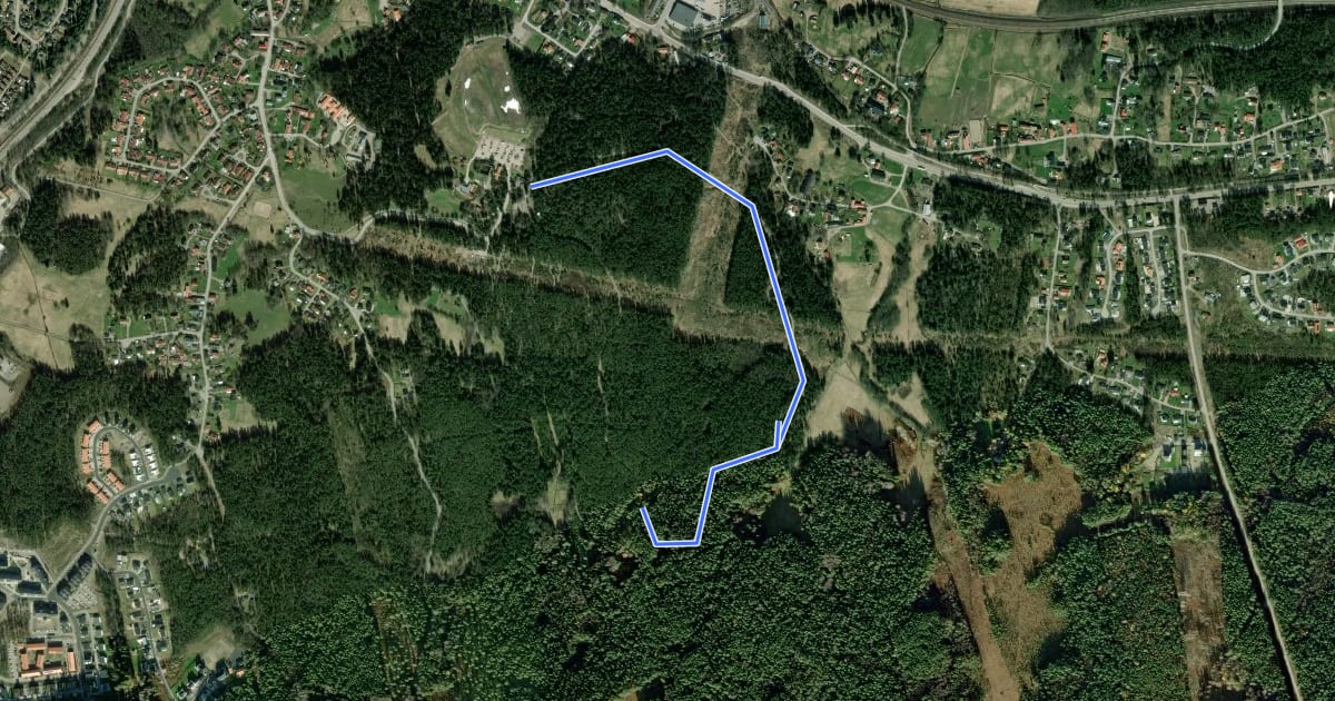 Маршрут 2.5 km на спутниковом снимке