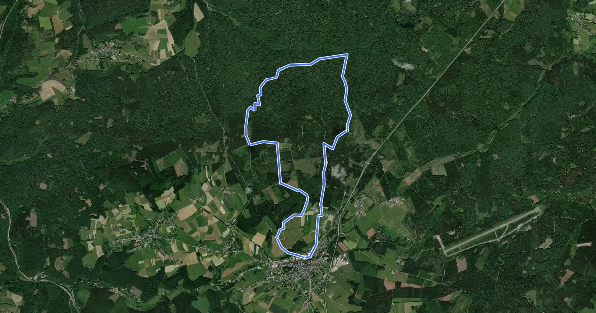 Маршрут 2. Forêt du Roi Albert на спутниковом снимке