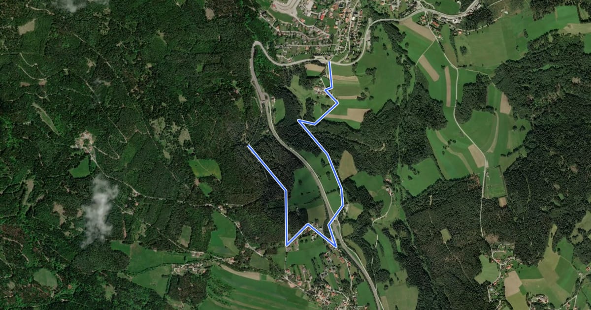 Маршрут 2 Grenzen (Schaueregg.Mönichkirchen) на спутниковом снимке