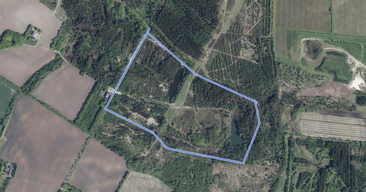 Маршрут 2 km rute на спутниковом снимке