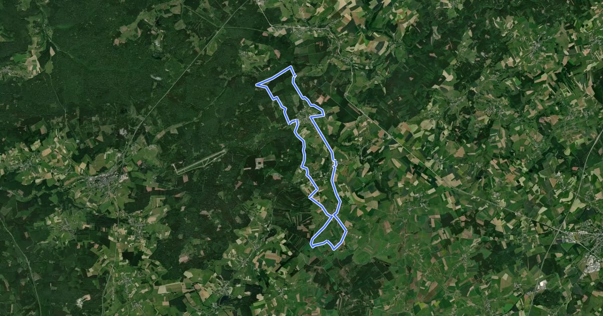 Маршрут 2. Le sentier du Cèpe de Bordeaux на спутниковом снимке
