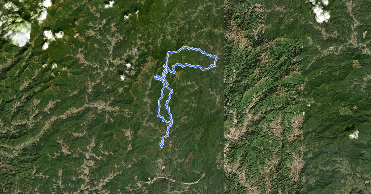 Маршрут 2025阳春鸡笼顶越野赛50km на спутниковом снимке