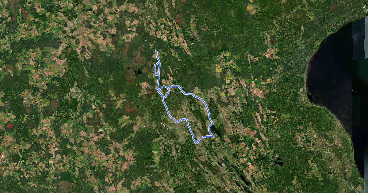 Маршрут 204: Jõgeva-Endla nature preserve-Jõgeva на спутниковом снимке