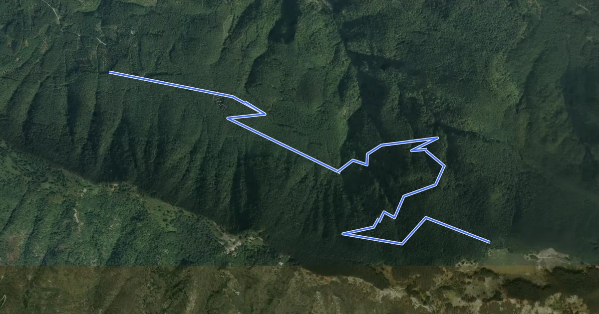 Маршрут 209A на спутниковом снимке