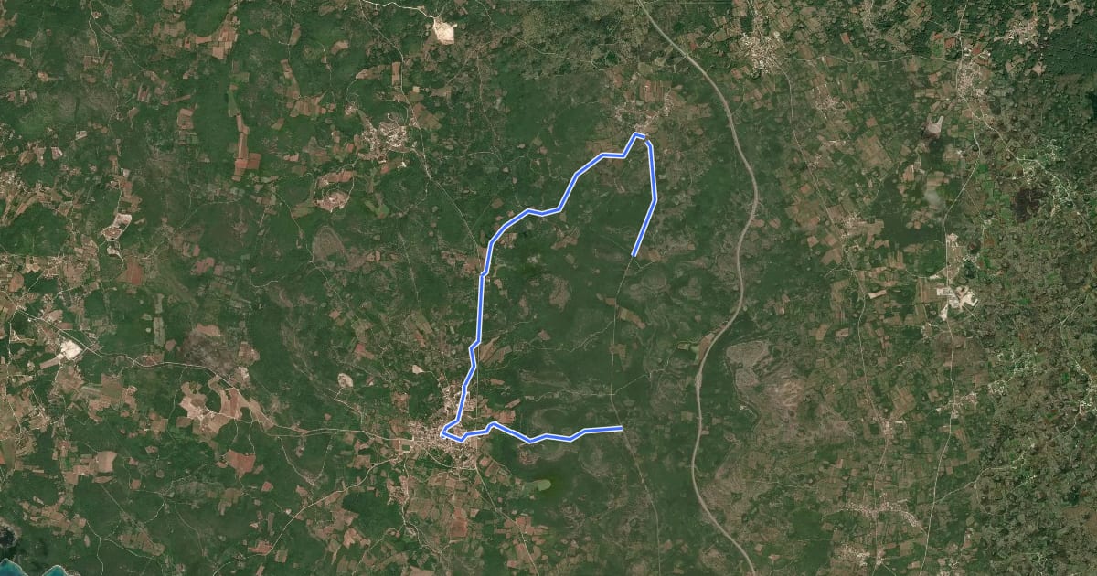 Маршрут 253 FONTANA TRAIL на спутниковом снимке