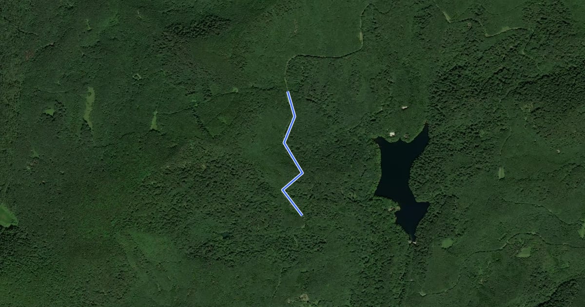 Маршрут 2813M на спутниковом снимке