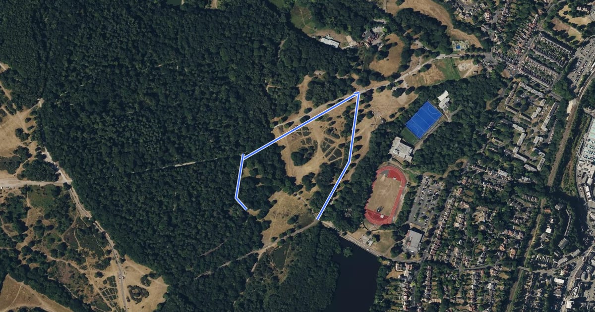 Маршрут 2km walk: Sutton Park на спутниковом снимке