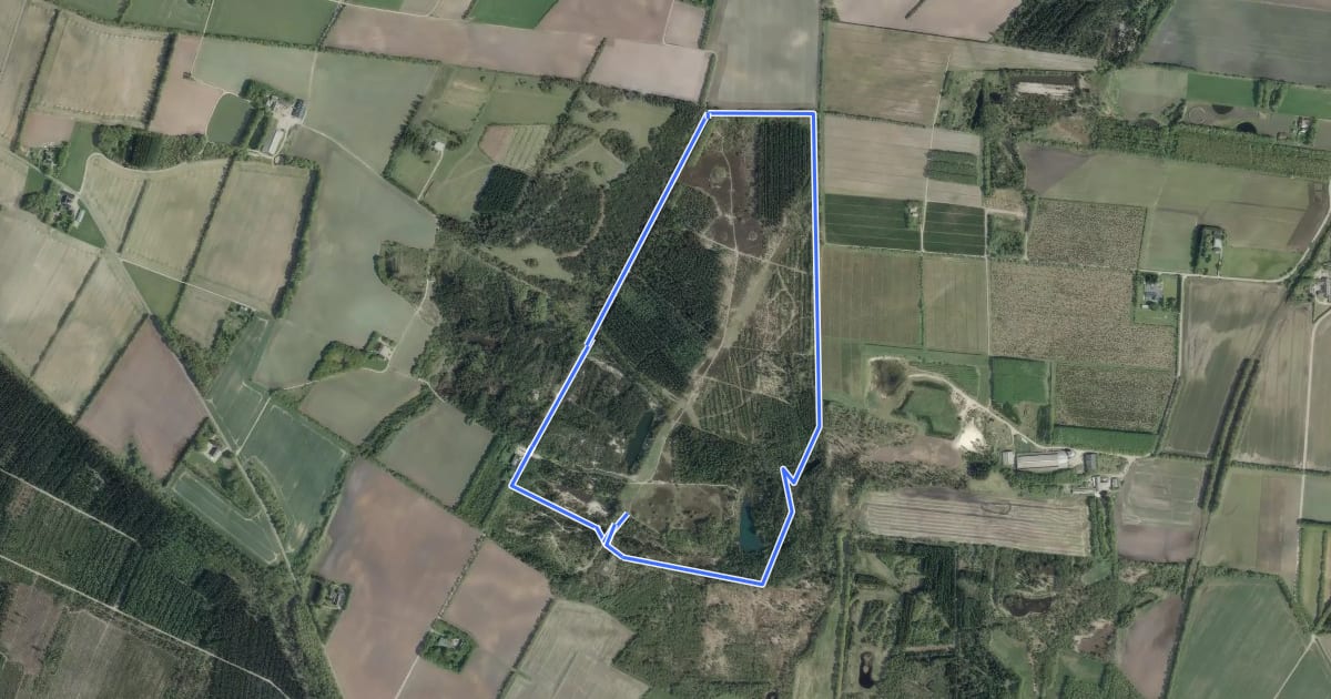 Маршрут 3,4 km Ridesti rute на спутниковом снимке