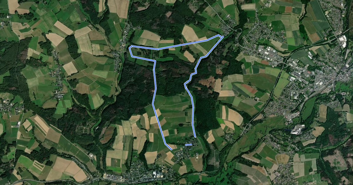 Маршрут [3] Hemmelzen Rundwanderweg на спутниковом снимке